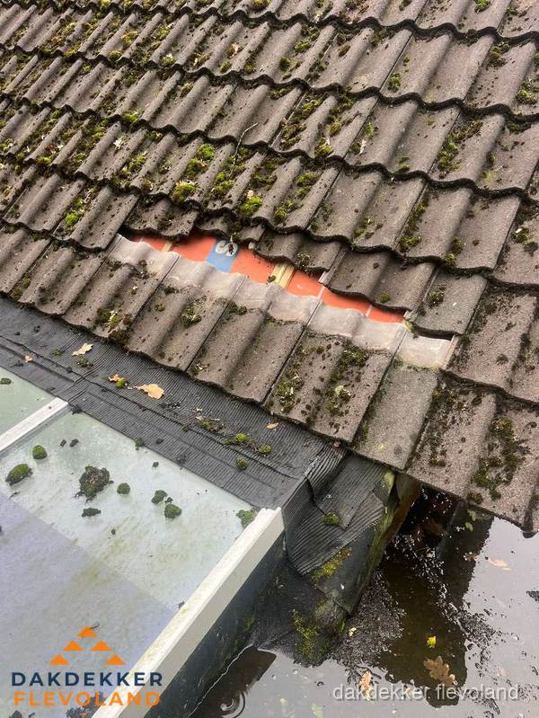 Beschadigd pannendak met ontbrekende dakpannen voor reparatie in Flevoland Beschadigd pannendak met ontbrekende dakpannen voor reparatie in Flevoland