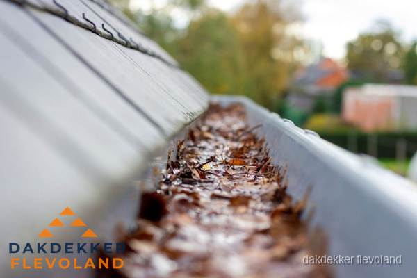 Verstopte dakgoot met bladeren schoonmaken in Flevoland Verstopte dakgoot met bladeren schoonmaken in Flevoland